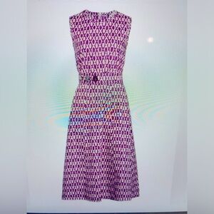 Max Mara Ombra Belted MIDI dress